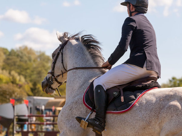 EQ Equestic Saddle Clip Visual Action